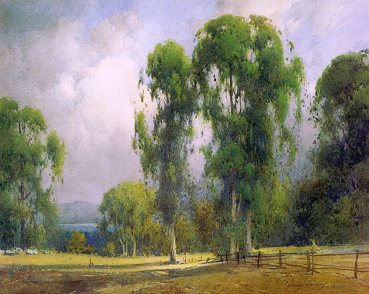 Eucalyptus Landscape