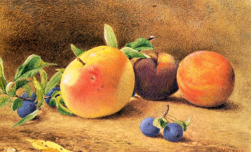 Study of Fruit