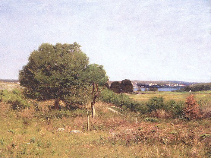 View from a Meadow