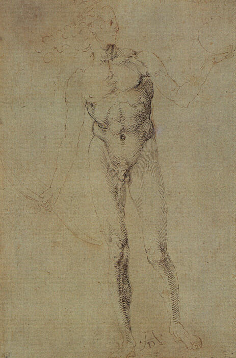 Dürer: Poynter Apollo