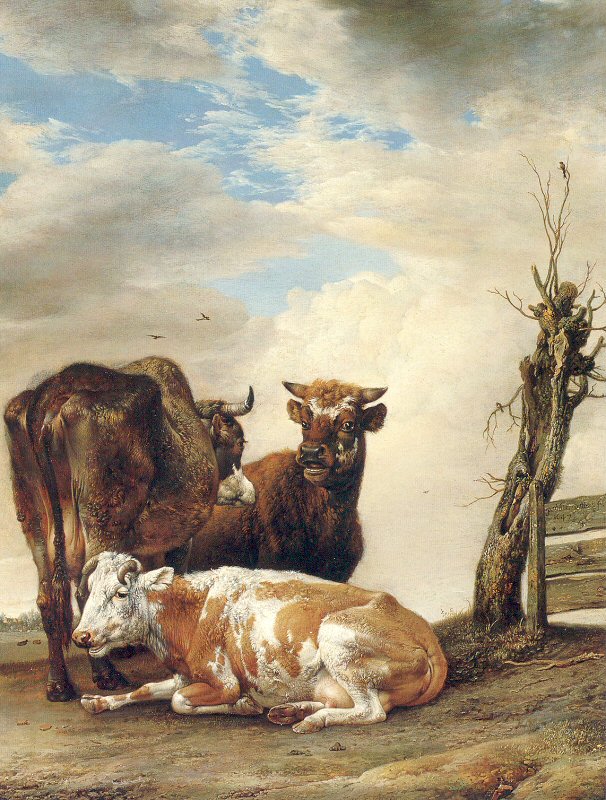 Two Cows & a Young Bull beside a Fence in a Meadow