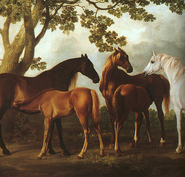 Mares & Foals in a Landscape