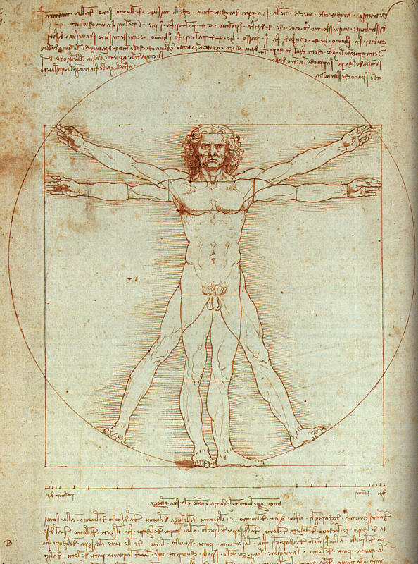 Proportions of Man